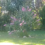 Fioccomare Lejlighed *
