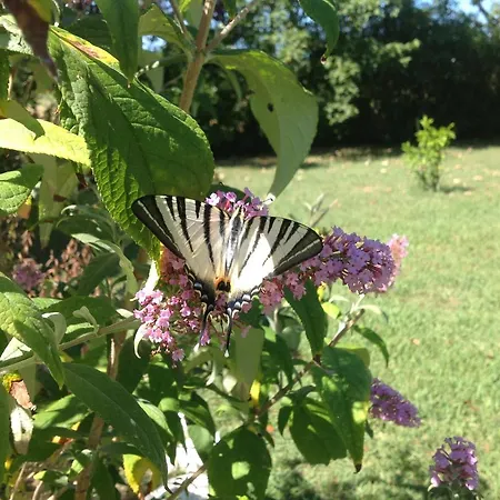 Apartament Fioccomare