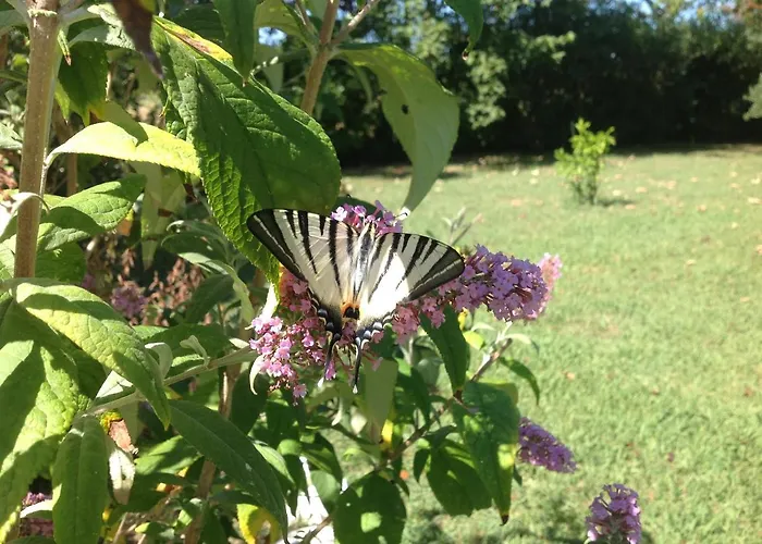 Apartamento Fioccomare