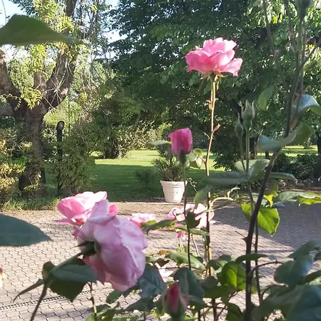 Fioccomare דירה *