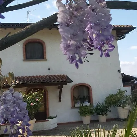 Fioccomare קמאיורה