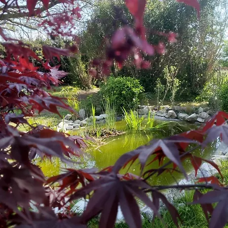 Fioccomare * קמאיורה