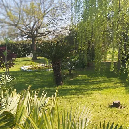 Fioccomare Camaiore