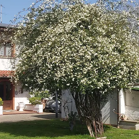 Apartmán Fioccomare Camaiore